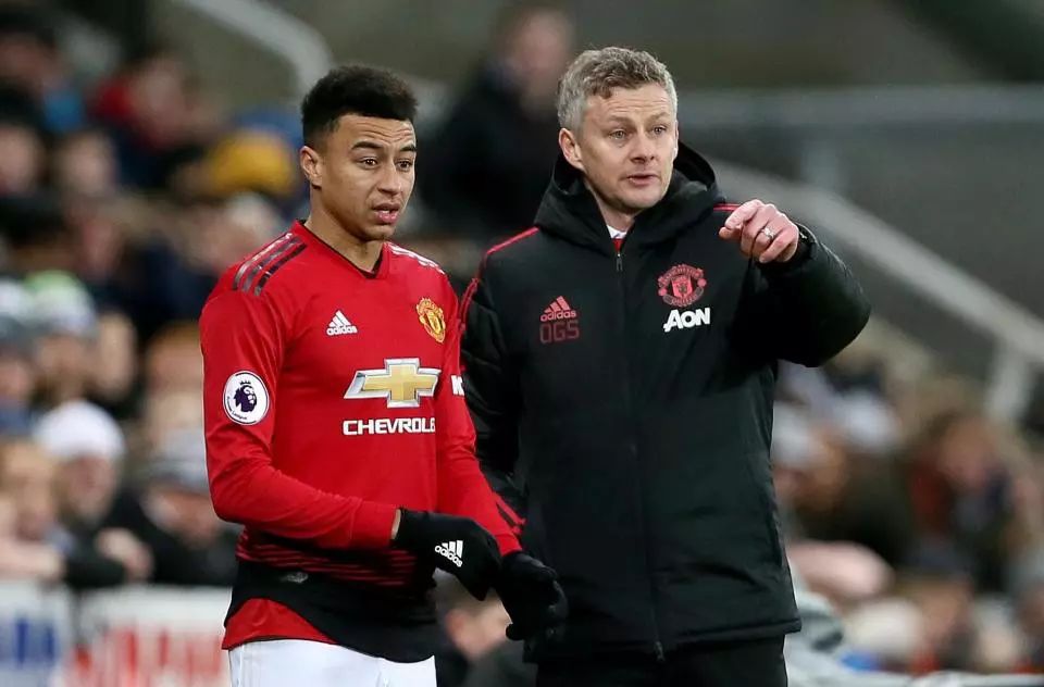 期望能在自 期望能在自