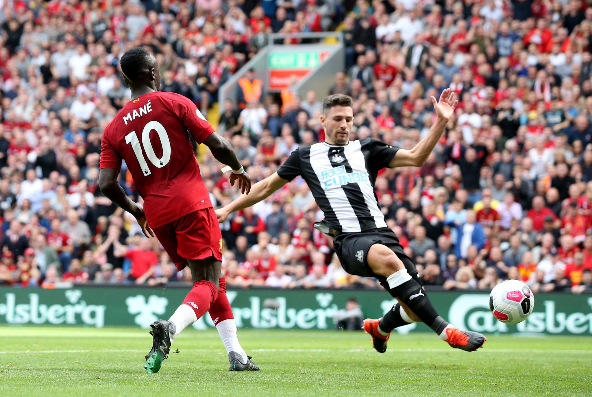 但为何葡萄 但为何葡萄